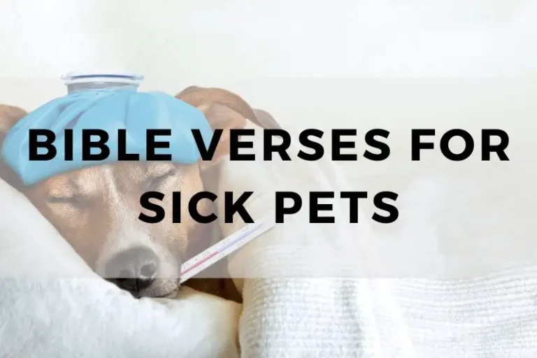 10 Comforting Bible Verses for Sick Pets