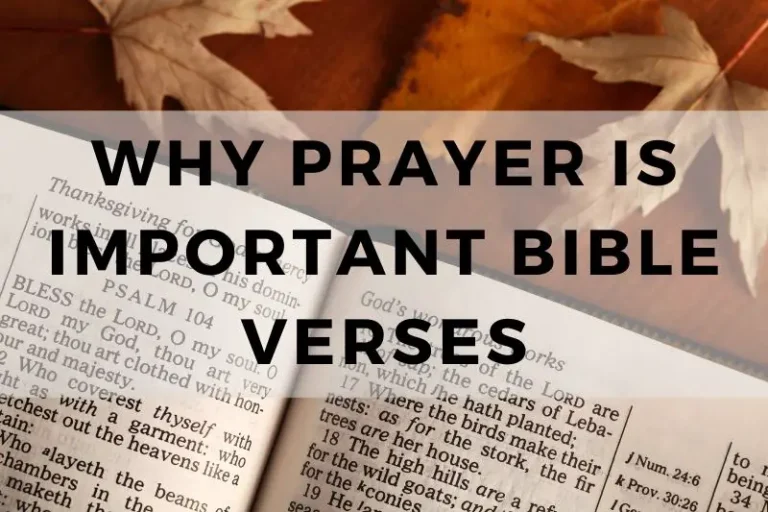 12 Bible Verses That Show Why Prayer Is Important