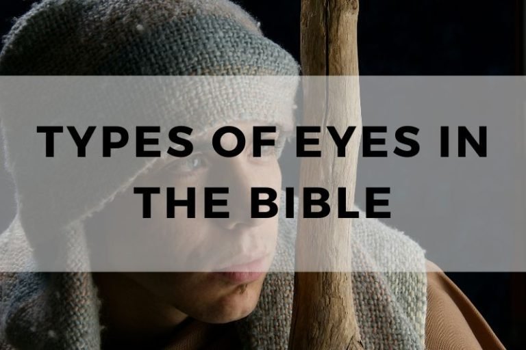 Types of Eyes in the Bible and Their Symbolic Meanings